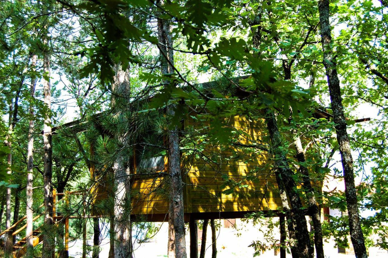 Agramada Bed & Breakfast Arnaia Exterior photo
